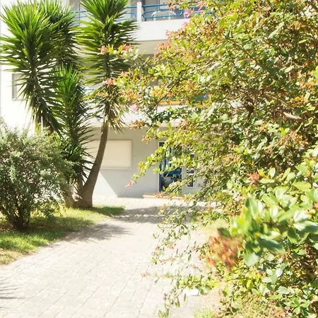 Figueira Summer House 아파트